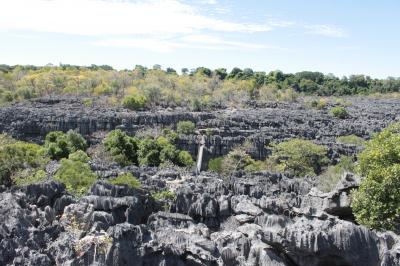 マダガスカル新婚旅行　アンカラナ特別保護区