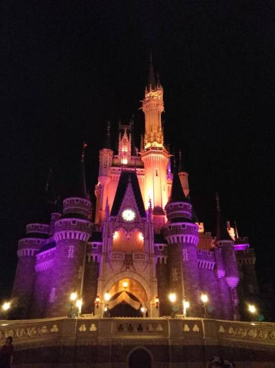 開園から閉園まで遊び尽くす！東京ディズニーランド14時間