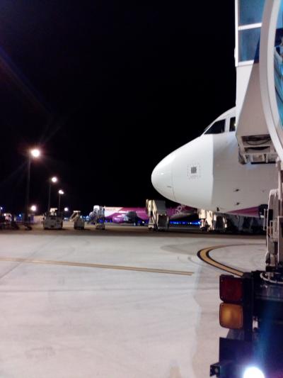 南海、難解ツアー。何回も巡りたい