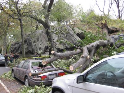 ハリケーン・サンディでＮＹに閉じ込められた2012年10月