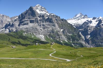 スイス・イタリア旅行2016 （9）　フィルストをハイキング