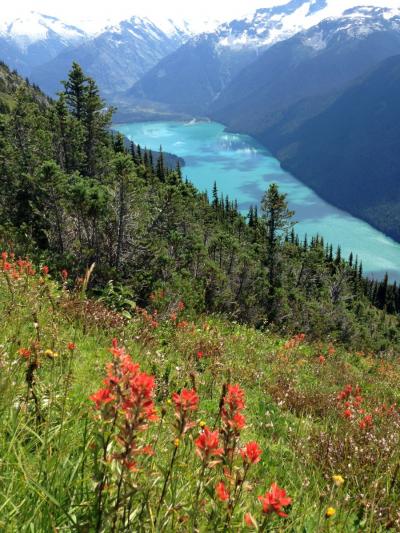 カナダ ウィスラー ハイキング 2016夏：08/13::氷河湖を眺めるハイノートトレイルを中心に歩く