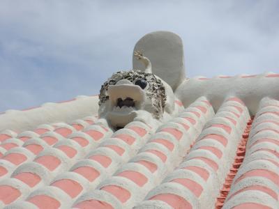 20数年ぶりの石垣島、海にグルメに楽しみ満載の旅、１日目