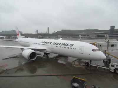 【JAL・JGC】ただただ、飛行機に乗りたくて！笑　弾丸マレーシア往復