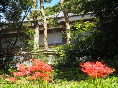 東へ其の八、運慶仏の浄楽寺それから横須賀の軍港へ