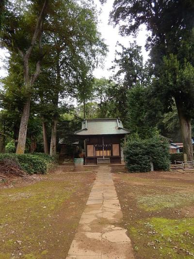 秋の風景を求めてサイクリングをする?村社稲荷神社を訪問する