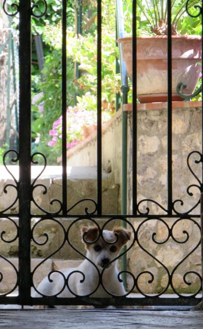 とっておきの場所を見つける旅 南イタリア旅行 緑が眩しいラヴェッロ編