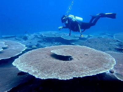 マーシャル諸島＋ハワイ＋ソウル一人旅