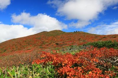 紅葉の栗駒山