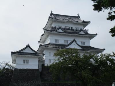 小田原城へ行きました