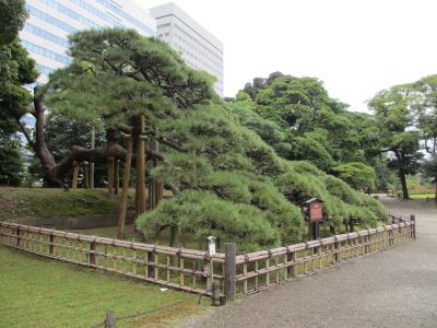 ガイドと巡る浜離宮恩賜庭園