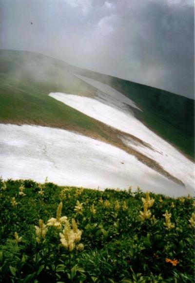 思い出の山旅ー12.飯豊連峰縦走・素晴らしいお花畑と残雪