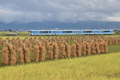 稲掛けの風景が車窓から見られる左沢線（山形）