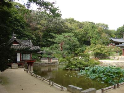 １２回目の訪韓は古宮をめぐる旅（２日目　昌徳宮と奉恩寺へ）