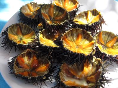 タコが名物? 海辺の屋台食堂 - 南イタリアぐるり旅 6日目 (3)