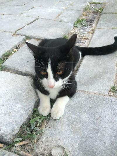 2016/SEP/09〜2016/SEP/20 PORTUGAL & NETHERLANDS