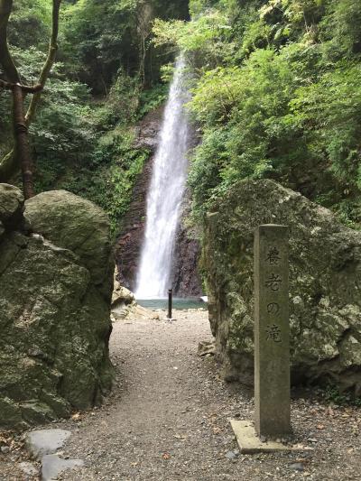 初秋の心地よい風を受けて紅葉前の滝へ　岐阜養老　国内出張編　