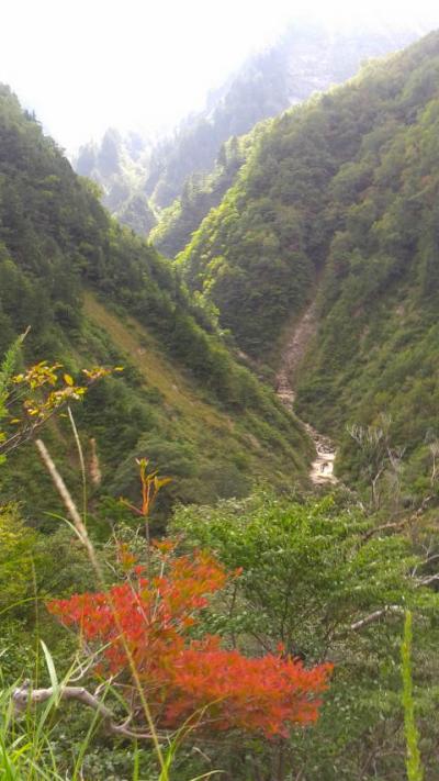 仕事のついでに　白川ホワイトロードと飛騨高山にドライブ旅行