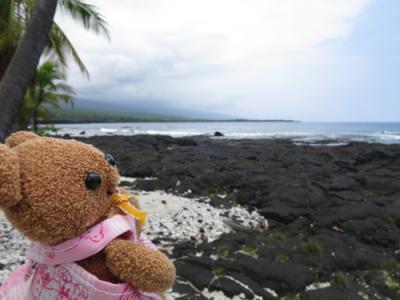 2016年5月ハワイ島(4)カイルアコナ散策ツアー