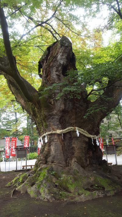 秩父おひとり様　パワスポ巡り①　秩父神社→今宮神社→三峯神社