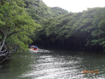 家族で行く沖縄・八重山旅行【２日目その１】　西表島滞在中