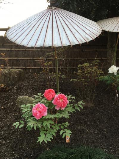 鎌倉おんな2人プチ観光&#128694;