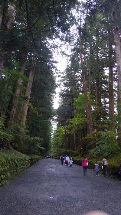 鬼怒川温泉と日光、一泊旅。