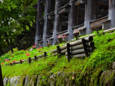 平等院から清水寺へ～定番の観光スポットを家族で巡る京都の旅～