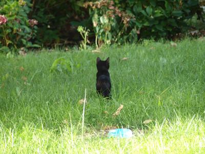 "Beautiful World" Poland 2016