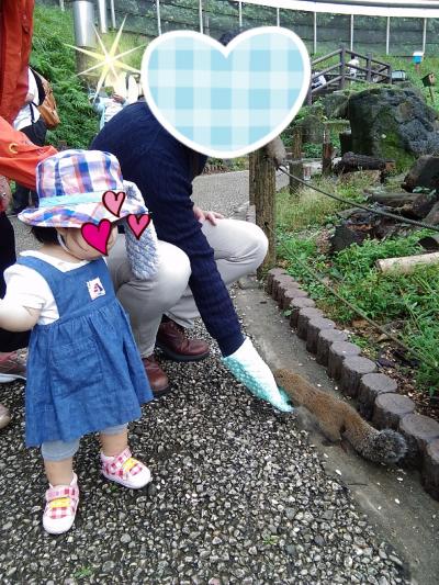 1歳1ヶ月の娘と行く☆★町田リス園でリスとのふれあい