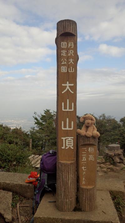 遅い出発の大山登山で帰りはケーブル