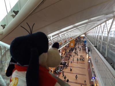 グーちゃん、八丈島へ行く！（五輪アスリート達の見送りで・・・。編）