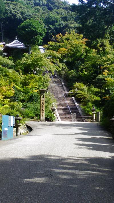 久しぶりの京都旅行１日目