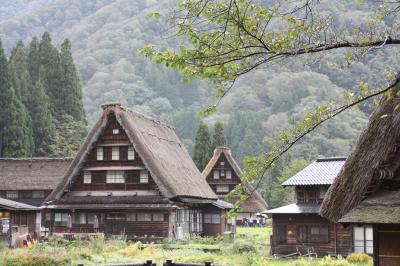 水曜どうでしょうロケ地めぐり五箇山編★ひるがの高原コキアパーク