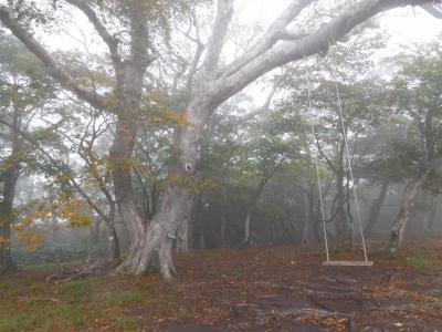 ホテルエピナール那須に宿泊し、キュービー号(観光周遊バス)で巡ってきました。
