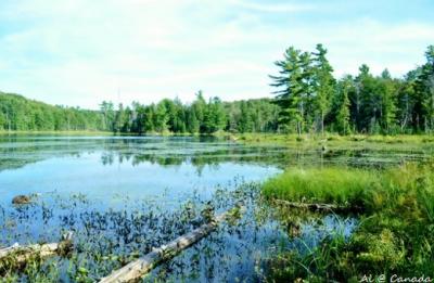 Gatineau Park / Parc de la Gatineau 