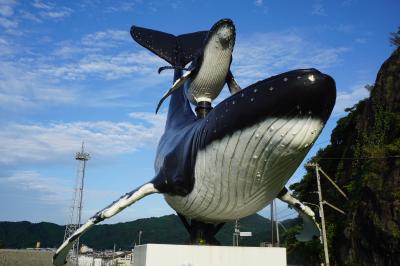 なんでもかんでも高知県東部の旅（四日目・完）～横浪の隠れスポットを確認したら、桂浜と並ぶ高知市の定番五台山へ。そしてハイライトは高知の珠玉グルメ。このレベルの高さは驚愕です～