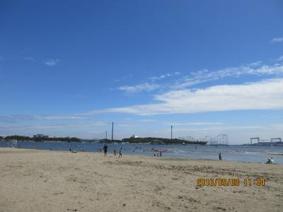 潮干狩りはいつでも出来るよ＠海の公園