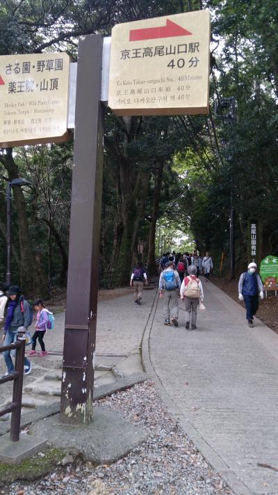 高尾山山登りと上野界隈