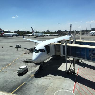 シンガポール航空A350ビジネスクラスと南部アフリカ