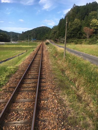 明知鉄道・急行大正ロマン号「きのこ列車」と「岩村城下町」散策、秋を感じるローカル線の旅！