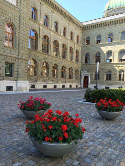 いつかある日ではおそい！スイスへGO！vol.6 ベルンの花は赤いゼラニウム♪　試練の始まりのベルン(・・;)