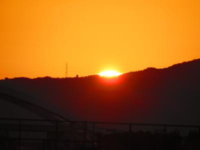 今日は朝から天気も最高、絶好の釣り日和、今年初のサヨリ釣りです。