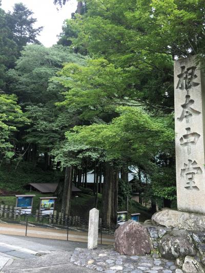 そうだ&#8252;️京都へ行こう&#128644;梅雨のおかんと２人旅【比叡山編】    