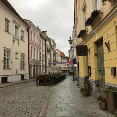 8回目のフィンランド&初めてのタリン(1)