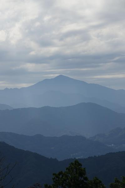 日本一の山 高尾山を初歩き