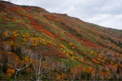 一番早い紅葉を見に北海道へ  2日目前半 朝霧・・・のち 絶景の銀泉台