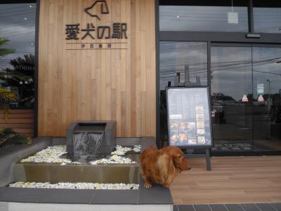 熱川温泉「開春楼」さんに行きました。途中で「犬の駅伊豆高原」にも寄りました。(一日目往路です)