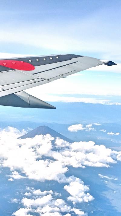 石垣島ダイビング旅行　～ひとり旅～　１日目