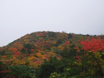 安達太良山の紅葉